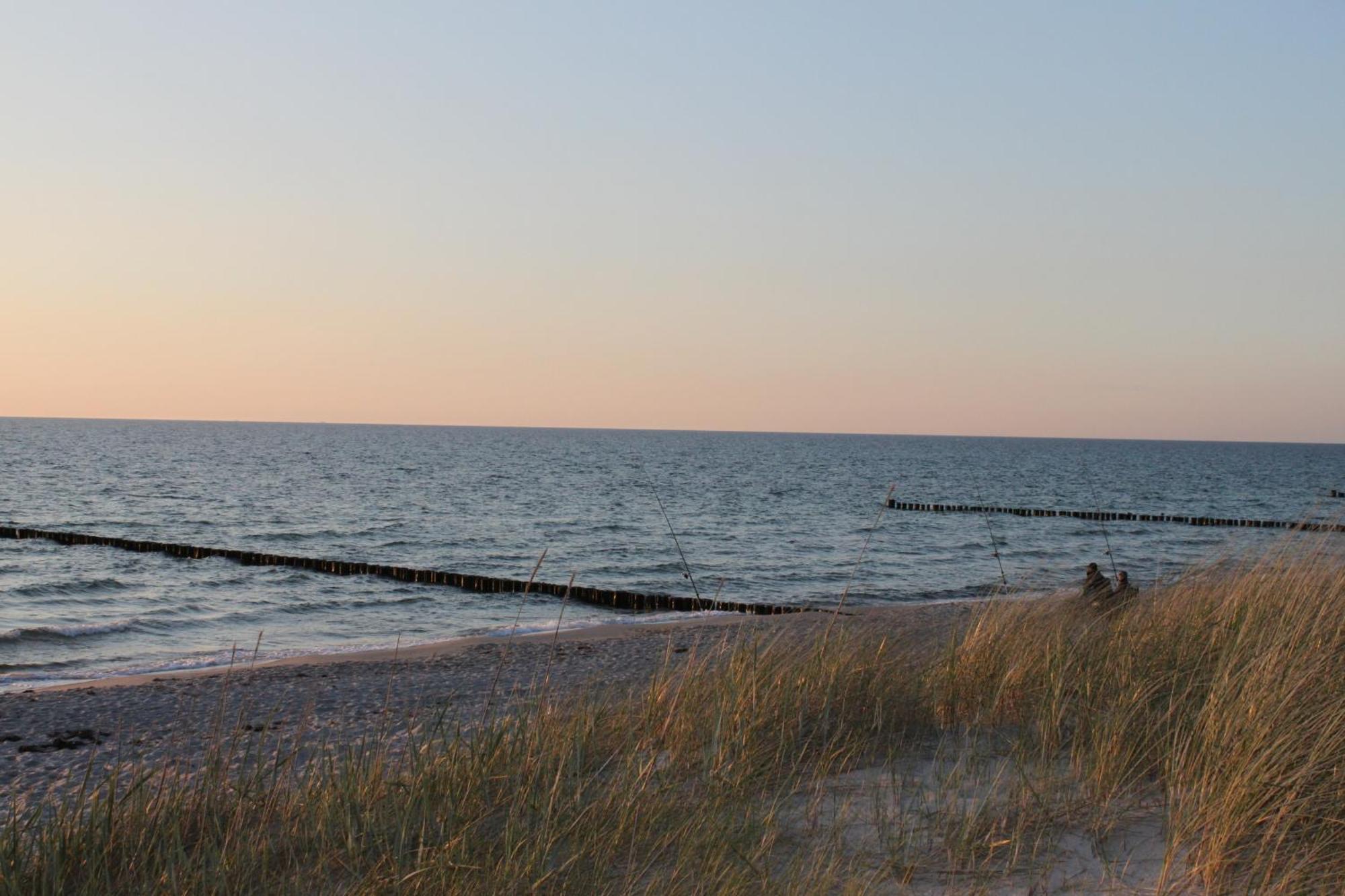 -"Strandhaus Friedrich"- Dierhagen Extérieur photo