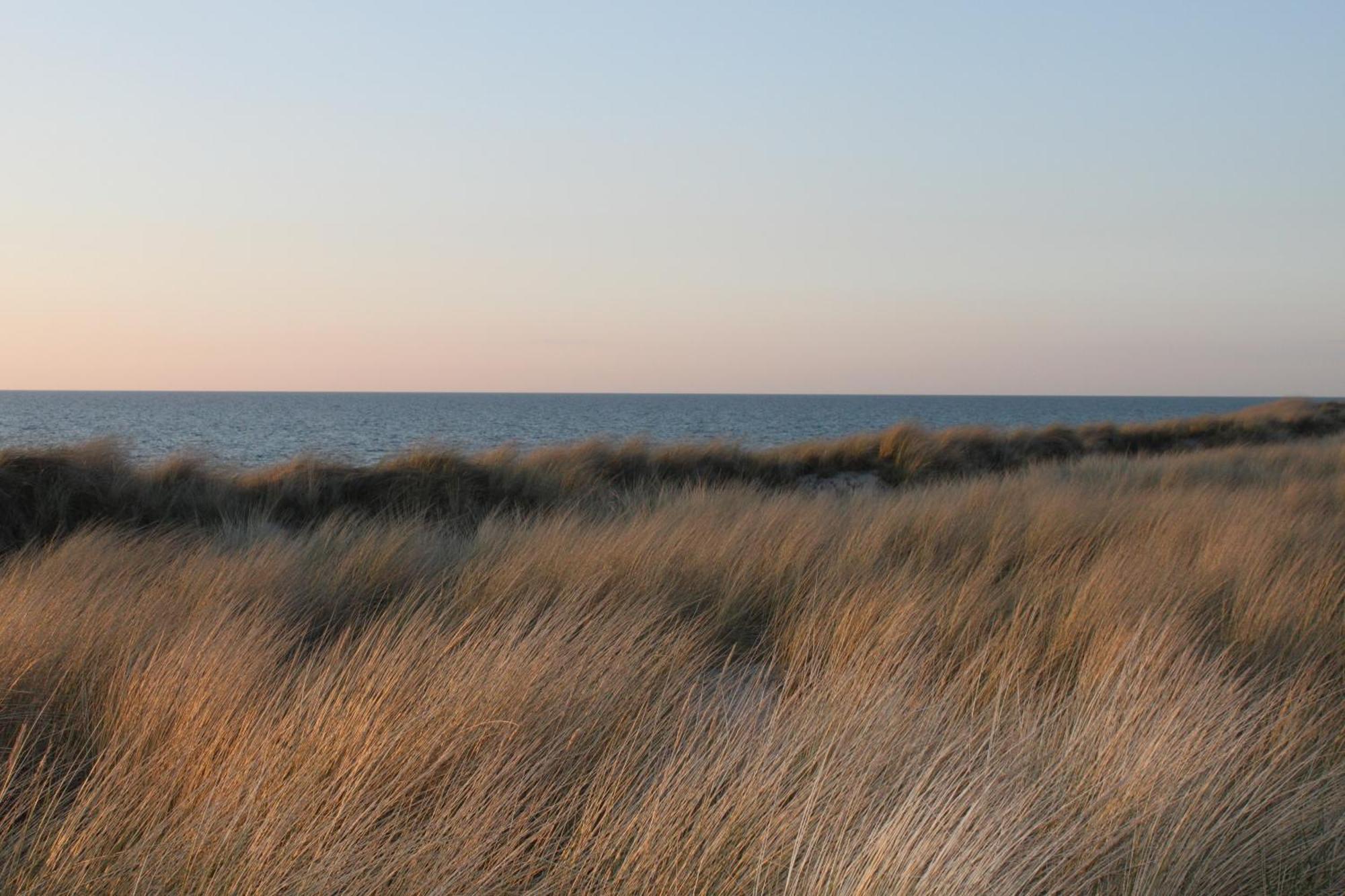 -"Strandhaus Friedrich"- Dierhagen Extérieur photo
