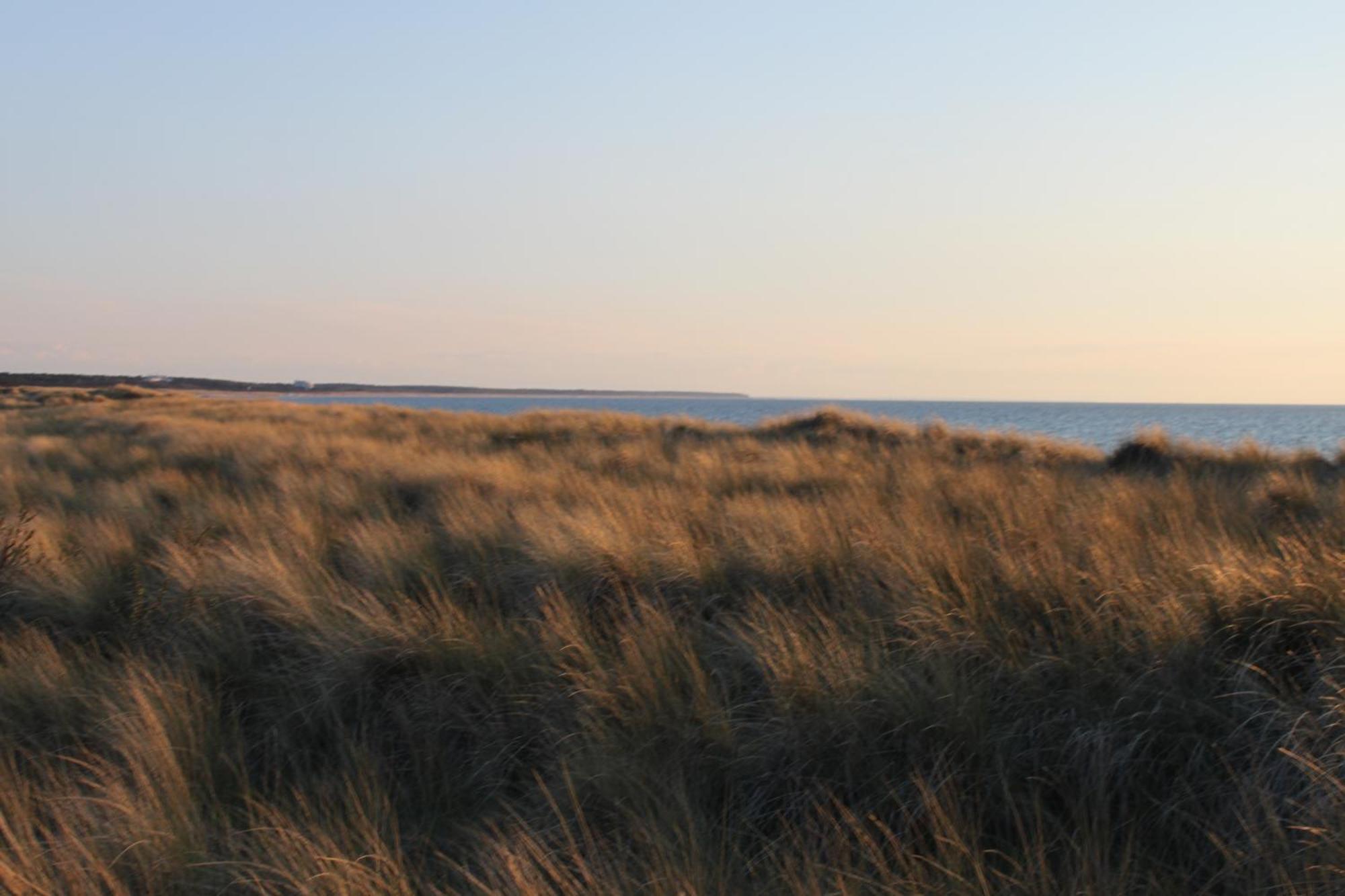 -"Strandhaus Friedrich"- Dierhagen Extérieur photo